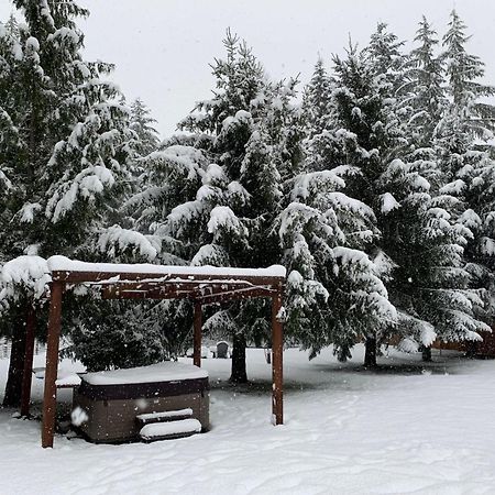 Bear'S Den Hideaway With Hot Tub Villa Ashford Buitenkant foto