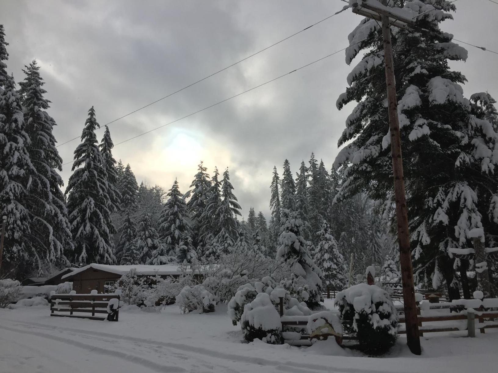Bear'S Den Hideaway With Hot Tub Villa Ashford Buitenkant foto