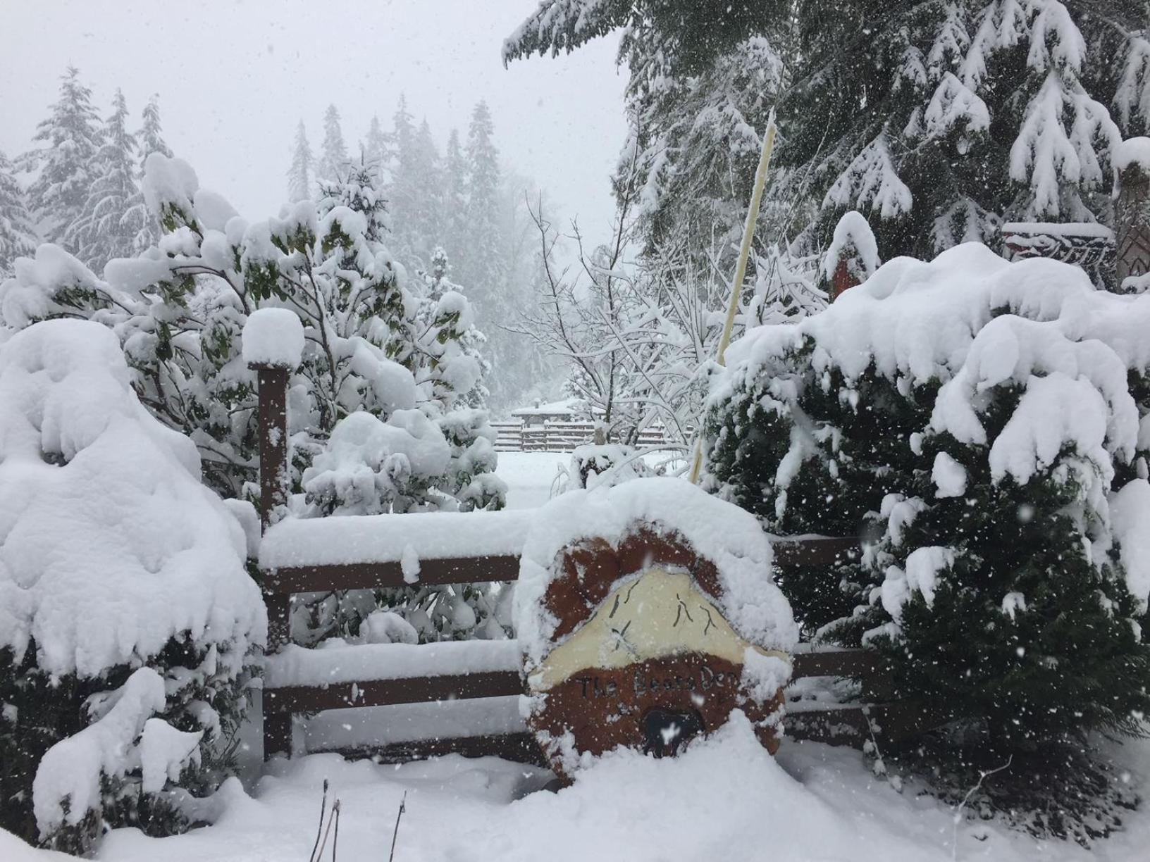 Bear'S Den Hideaway With Hot Tub Villa Ashford Buitenkant foto